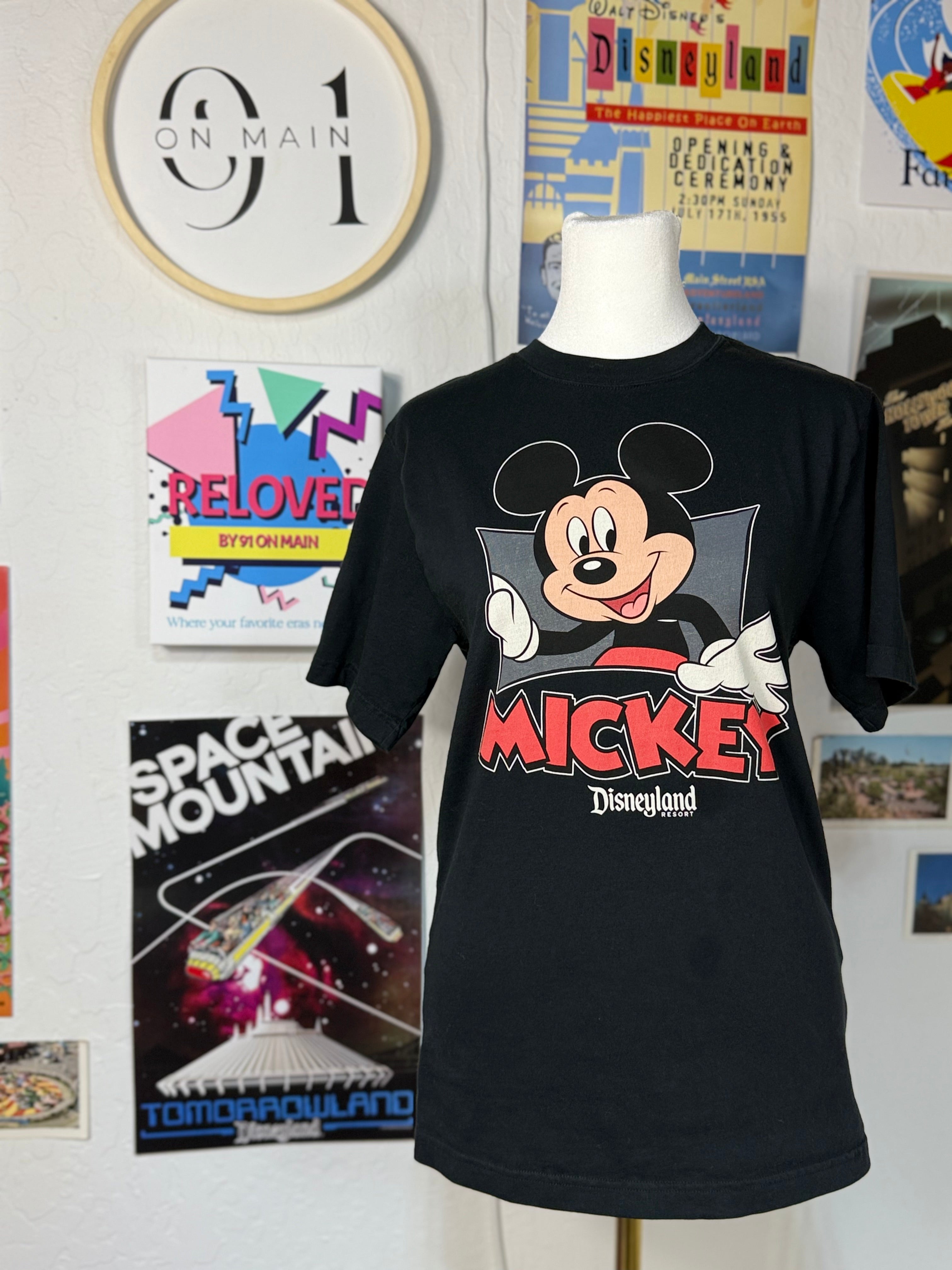 Disney Park Mickey Small