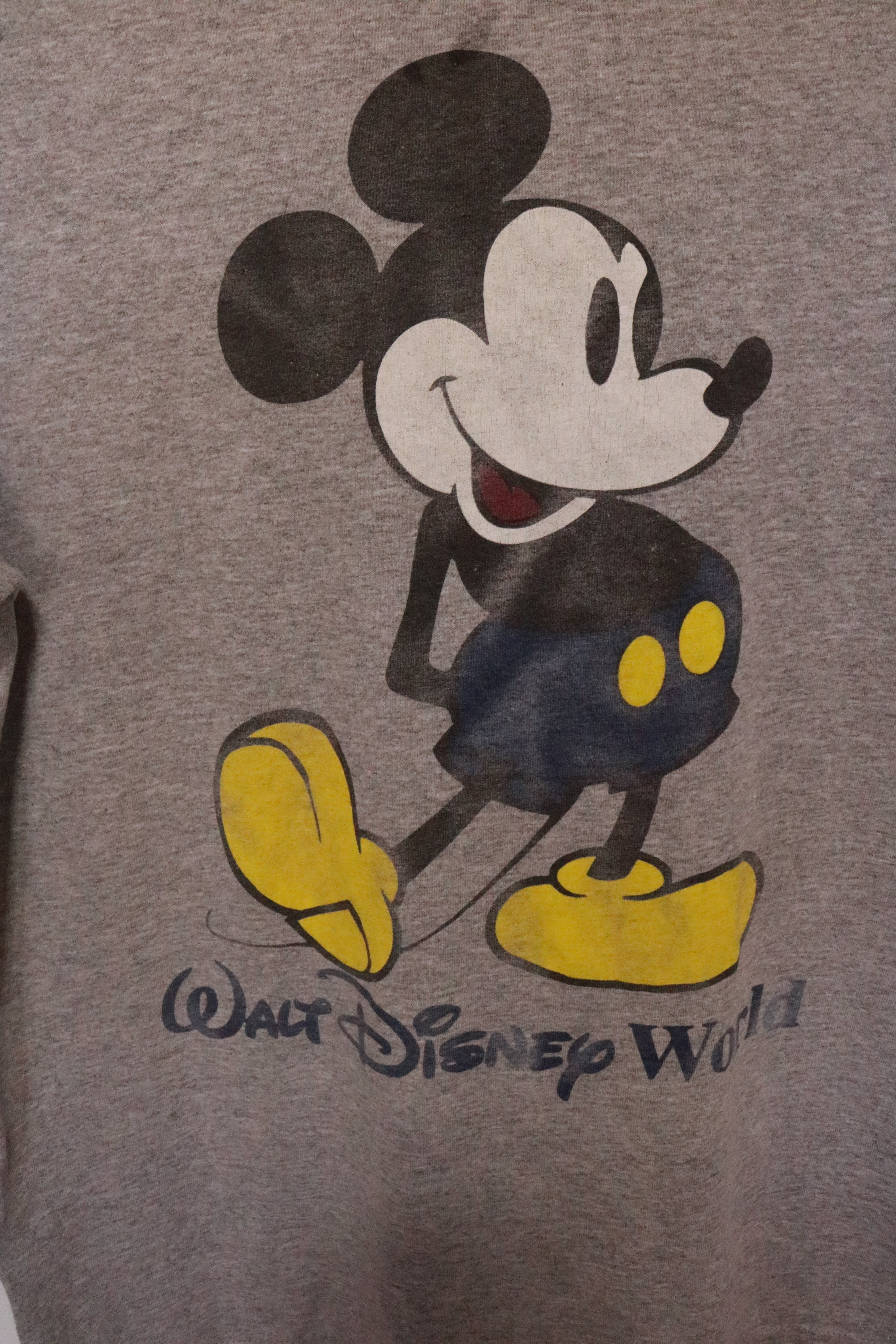 Vintage D World Ringer Tee