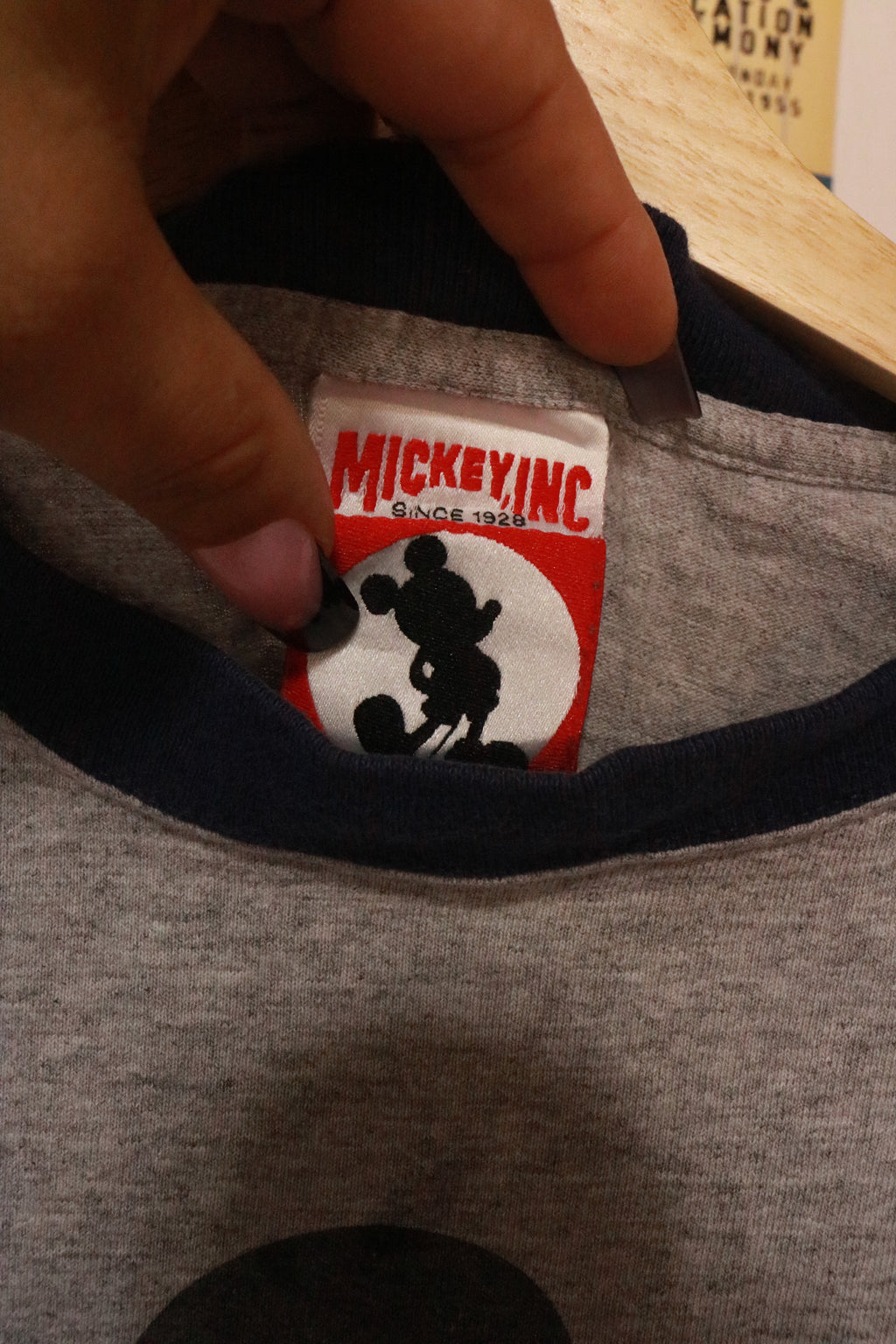 Vintage D World Ringer Tee