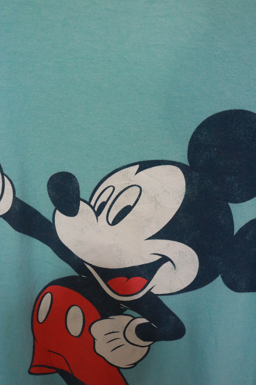 Light Blue Mouse
